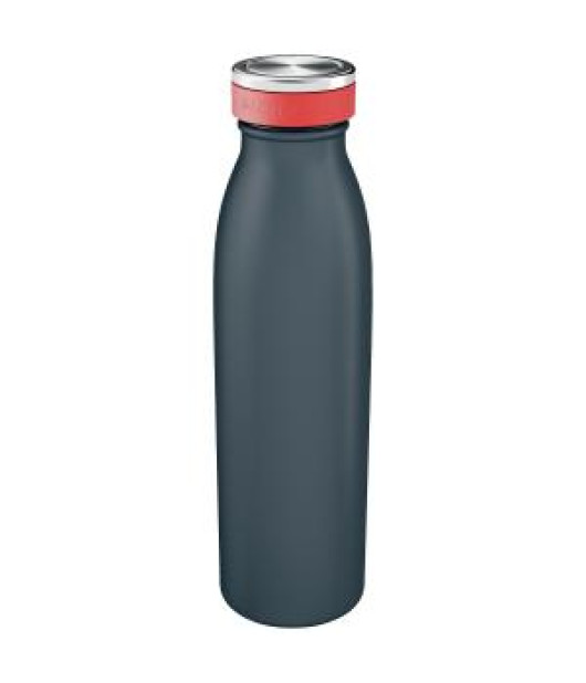 Fľaša na vodu Leitz Cosy zamatová sivá 