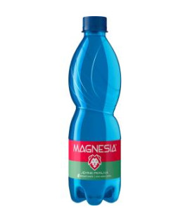 Minerálna voda MAGNESIA jemne sýtená 12 x 0,5 ℓ 