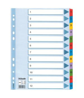 Kartónový rozraďovač Esselte Mylar 1-12 