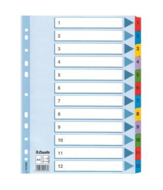 Kartónový rozraďovač Esselte Mylar 1-12 